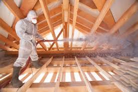 Best Blown-In Insulation  in Davison, MI